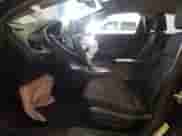 2016 Chevrolet Malibu LT с VIN 1G1ZE5STXGF311691, выставлен на аукционе Copart как лот 83803275 с пробегом 126 961 миль миль и Списание • Salvage title. История ставок и продаж доступна на DreamBid. Изображение 7.