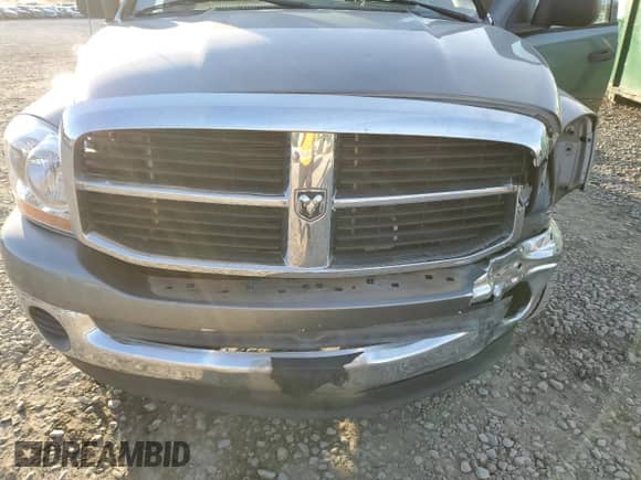 2006 Dodge 1500 Laramie with VIN 1D7HA18296S712649, listed as a Copart auction lot 84443434 with 175,656 mi miles and Salvage title. Bid and sale history available at DreamBid. Image 12.