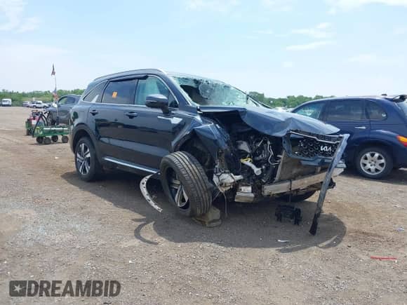 2022 Kia Sorento SX Prestige with VIN KNDRMDLH4N5063407, listed as a IAAI auction lot 39813502 with Not provided miles and . Bid and sale history available at DreamBid. Image 1.