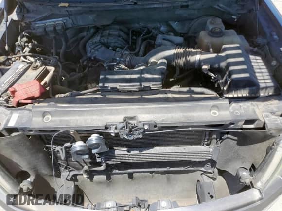 2012 Ford F-150 XL with VIN 1FTEW1CM4CKD04689, listed as a Copart auction lot 67066195 with 171,723 mi miles and Salvage title. Bid and sale history available at DreamBid. Image 11.