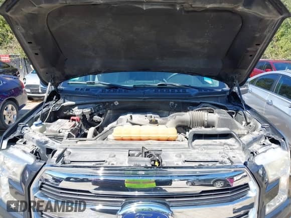 2015 Ford F-150 XLT с VIN 1FTEW1EP3FFB83187, выставлен на аукционе IAAI как лот 43308746 с пробегом 146 927 миль миль и . История ставок и продаж доступна на DreamBid. Изображение 10.