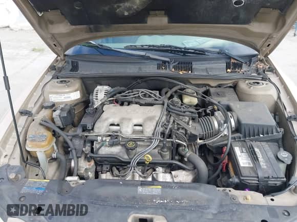 2002 Pontiac Grand Am SE1 с VIN 1G2NF52E52C183797, выставлен на аукционе IAAI как лот 42328407 с пробегом Не указан миль и . История ставок и продаж доступна на DreamBid. Изображение 10.