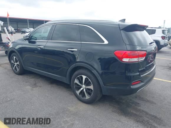 2017 Kia Sorento EX with VIN 5XYPH4A51HG204191, listed as a IAAI auction lot 42947630 with 103,313 mi miles and . Bid and sale history available at DreamBid. Image 3.