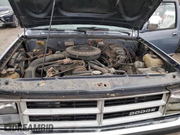 1989 Dodge Dakota with VIN 1B7FL26X3KS146546, listed as a Copart auction lot 81859624 with 16,824 mi miles and Clean title. Bid and sale history available at DreamBid. Image 11.