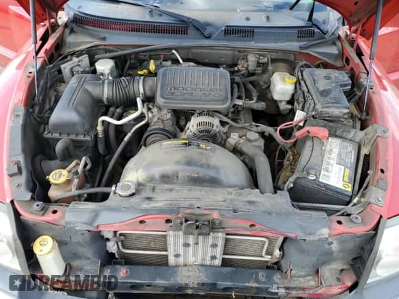 2005 Dodge Dakota SLT with VIN 1D7HW42K25S137157, listed as a Copart auction lot 54088455 with 144,985 mi miles and Salvage title. Bid and sale history available at DreamBid. Image 11.