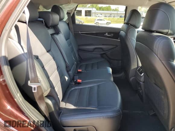 2017 Kia Sorento EX with VIN 5XYPHDA11HG254103, listed as a Copart auction lot 69644475 with 126,148 mi miles and Salvage title. Bid and sale history available at DreamBid. Image 11.