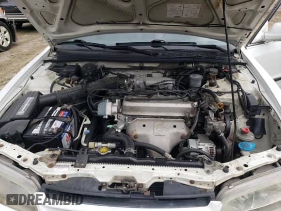 1995 Honda Accord with VIN JHMCD5535SC028684, listed as a Copart auction lot 80777165 with 297,951 mi miles and Salvage title. Bid and sale history available at DreamBid. Image 11.