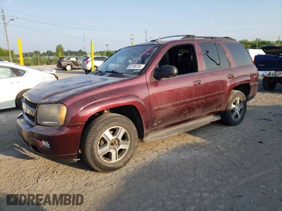 2002 Chevrolet TrailBlazer LTZ with VIN 1GNDT13S622455980, listed as a Copart auction lot 61785735 with 190,609 mi miles and Salvage title. Bid and sale history available at DreamBid. Image 1.