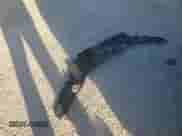 2017 Honda Pilot EX-L with VIN 5FNYF6H83HB505431, listed as a Copart auction lot 70898645 with 308,208 mi miles and Clean title. Bid and sale history available at DreamBid. Image 13.