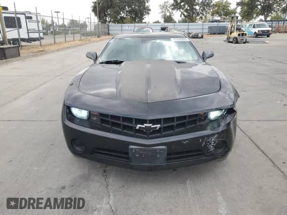 2010 Chevrolet Camaro LS with VIN 2G1FE1EV8A9173903, listed as a Copart auction lot 81220895 with 74,282 mi miles and Salvage title. Bid and sale history available at DreamBid. Image 5.