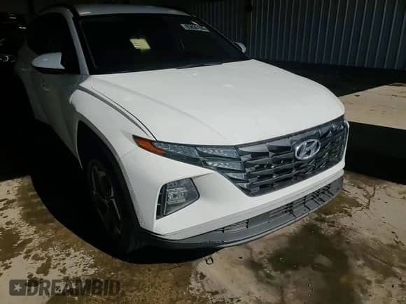 2024 Hyundai Tucson SEL with VIN 5NMJBCDE3RH424694, listed as a Copart auction lot 85830195 with 24,239 mi miles and Salvage title. Bid and sale history available at DreamBid. Image 14.