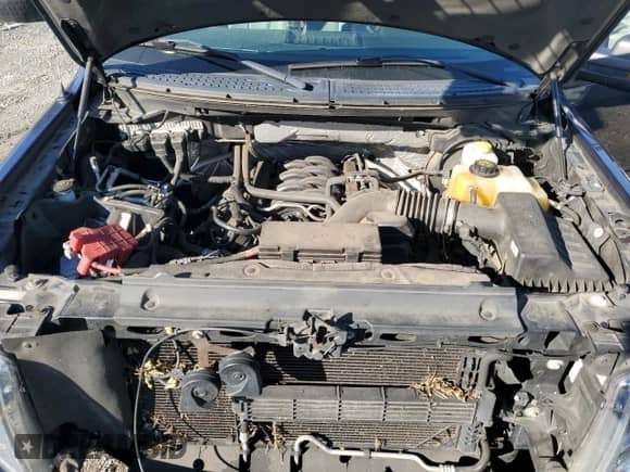 2014 Ford F-150 XL с VIN 1FTFX1EF9EFB10364, выставлен на аукционе Copart как лот 84655965 с пробегом 101 597 миль миль и Списание • Salvage title. История ставок и продаж доступна на DreamBid. Изображение 11.