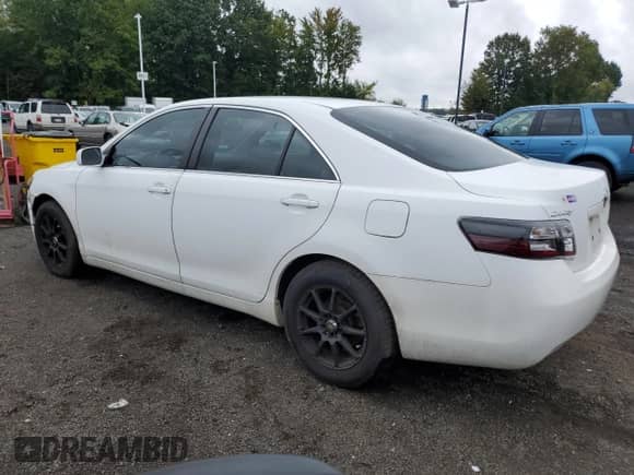 2009 Toyota Camry XLE with VIN 4T4BE46K99R137696, listed as a Copart auction lot 83952065 with 223,962 mi miles and Salvage title. Bid and sale history available at DreamBid. Image 2.