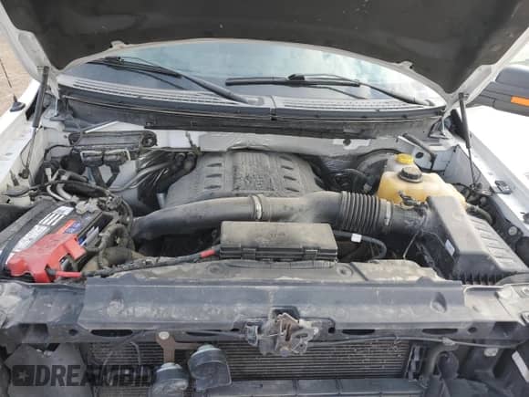 2014 Ford F-150 XLT with VIN 1FTFX1CT5EFB09639, listed as a Copart auction lot 80960955 with 73,764 mi miles and Salvage title. Bid and sale history available at DreamBid. Image 11.