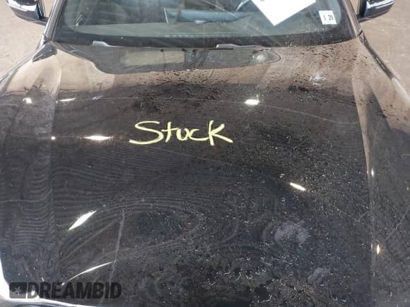 2024 BMW 4 Series 430i xDrive z VIN WBA43AT03RCP19391, wystawiony jako IAAI lot #42473540 z przebiegiem 24 614 mil mil oraz . Historia ofert i sprzedaży dostępna na DreamBid. Obrazek 10.