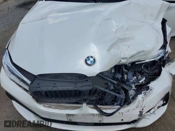 2017 BMW 7 Series ALPINA B7 xDrive with VIN WBA7F2C53HG421419, listed as a Copart auction lot 66275035 with Not provided miles and Salvage title. Bid and sale history available at DreamBid. Image 11.