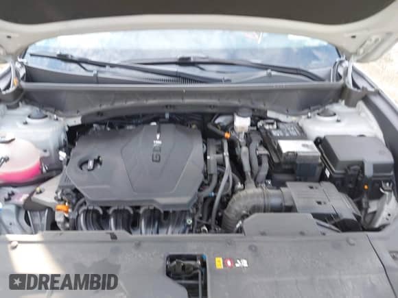 2023 Hyundai Tucson SEL with VIN 5NMJFCAE3PH188747, listed as a IAAI auction lot 43129691 with 29,452 mi miles and . Bid and sale history available at DreamBid. Image 10.