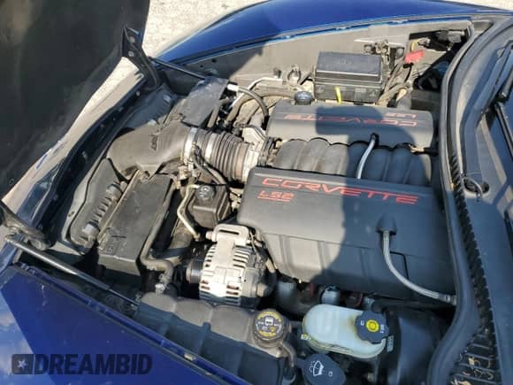 2005 Chevrolet Corvette with VIN 1G1YY34U655119281, listed as a Copart auction lot 60065875 with 214,767 mi miles and Salvage title. Bid and sale history available at DreamBid. Image 11.