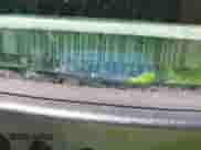 2002 GMC Sierra 1500 SLE с VIN 2GTEC19V721345759, выставлен на аукционе IAAI как лот 43026220 с пробегом 340 756 миль миль и . История ставок и продаж доступна на DreamBid. Изображение 9.