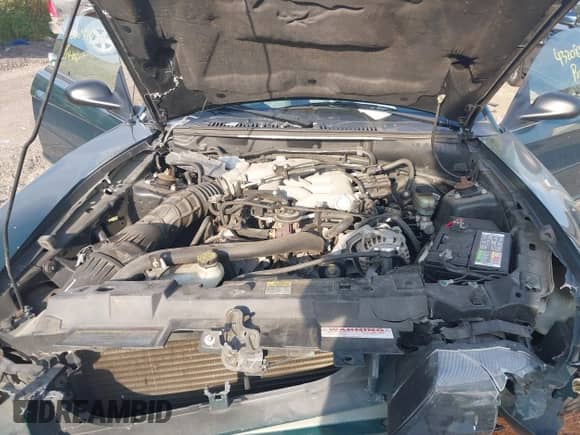 2001 Ford Mustang Deluxe with VIN 1FAFP44431F154216, listed as a IAAI auction lot 43208544 with Not provided miles and . Bid and sale history available at DreamBid. Image 10.