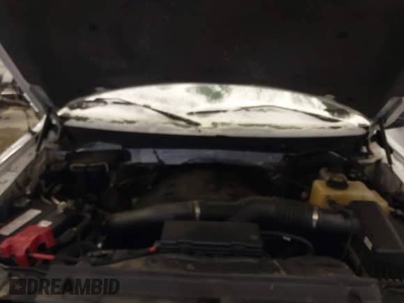 2012 Ford F-150 XL with VIN 1FTFW1ET3CKE26288, listed as a IAAI auction lot 41528028 with 158,742 mi miles and . Bid and sale history available at DreamBid. Image 10.