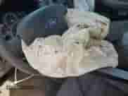 2005 Ford Explorer XLS with VIN 1FMZU72K55UB06054, listed as a Copart auction lot 49674865 with Not provided miles and Salvage title. Bid and sale history available at DreamBid. Image 9.