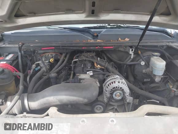 2009 Chevrolet Avalanche 2LT with VIN 3GNEC22099G122135, listed as a IAAI auction lot 42512478 with 253,747 mi miles and . Bid and sale history available at DreamBid. Image 10.