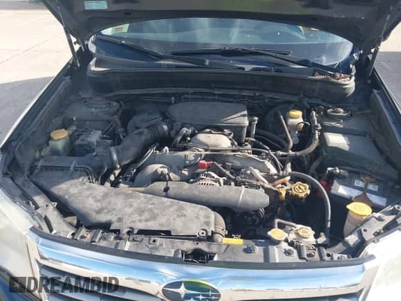 2009 Subaru Forester X with VIN JF2SH636X9H724704, listed as a IAAI auction lot 43352392 with 156,966 mi miles and . Bid and sale history available at DreamBid. Image 10.