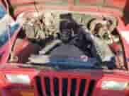 1988 Jeep Wrangler с VIN 2BCHV81SXJB541772, выставлен на аукционе Copart как лот 45342095 с пробегом 110 222 миль миль и Чистый • Clean title. История ставок и продаж доступна на DreamBid. Изображение 11.