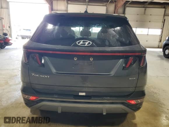 2024 Hyundai Tucson Limited with VIN 5NMJECDE2RH347470, listed as a Copart auction lot 89480595 with 24,272 mi miles and Clean title. Bid and sale history available at DreamBid. Image 6.