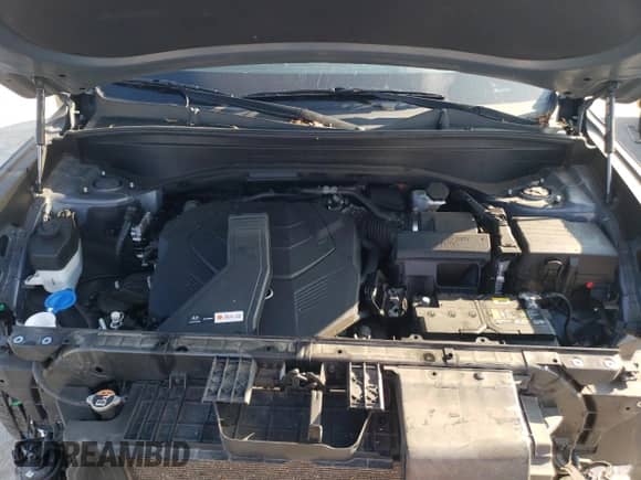 2020 Hyundai Palisade Limited with VIN KM8R5DHE4LU068858, listed as a Copart auction lot 69163483 with Not provided miles and . Bid and sale history available at DreamBid. Image 12.