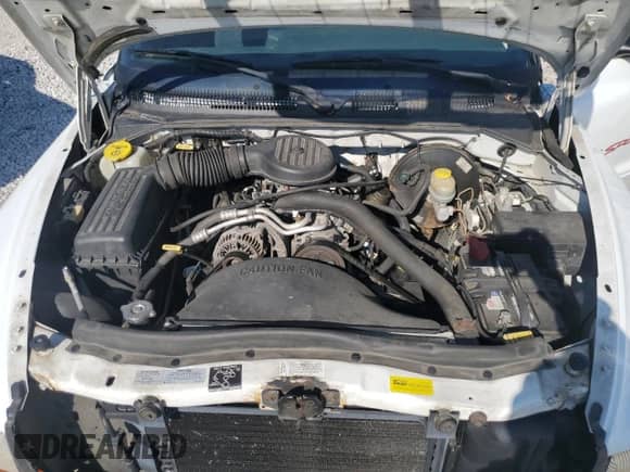 1997 Dodge Dakota с VIN 1B7FL26X1VS289323, выставлен на аукционе Copart как лот 70748184 с пробегом 141 671 миль миль и Чистый • Clean title. История ставок и продаж доступна на DreamBid. Изображение 11.