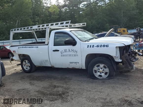 2009 Chevrolet Silverado 1500 with VIN 1GCEK24J89Z150770, listed as a Copart auction lot 66755994 with 240,924 mi miles and Salvage title. Bid and sale history available at DreamBid. Image 4.