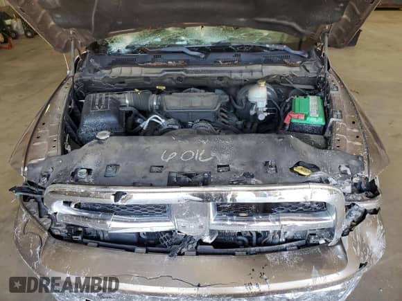 2009 Dodge 1500 SLT с VIN 1D3HB18P19S802456, выставлен на аукционе Copart как лот 75563684 с пробегом 217 186 миль миль и Списание • Salvage title. История ставок и продаж доступна на DreamBid. Изображение 11.