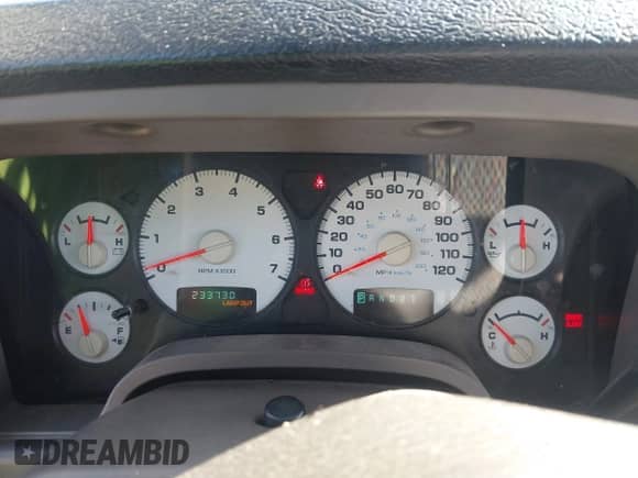 2002 Dodge 1500 with VIN 3D7HA18N22G142389, listed as a IAAI auction lot 42195099 with 233,730 mi miles and . Bid and sale history available at DreamBid. Image 7.