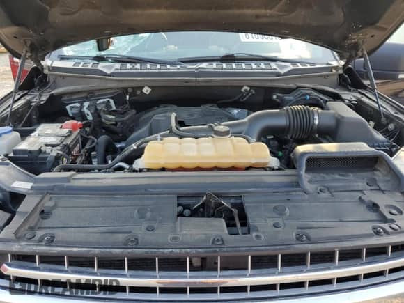 2018 Ford F-150 XLT z VIN 1FTEW1EP4JKD91319, wystawiony jako Copart lot #81056815 z przebiegiem 184 452 mil mil oraz Szkoda całkowita • Salvage title. Historia ofert i sprzedaży dostępna na DreamBid. Obrazek 11.