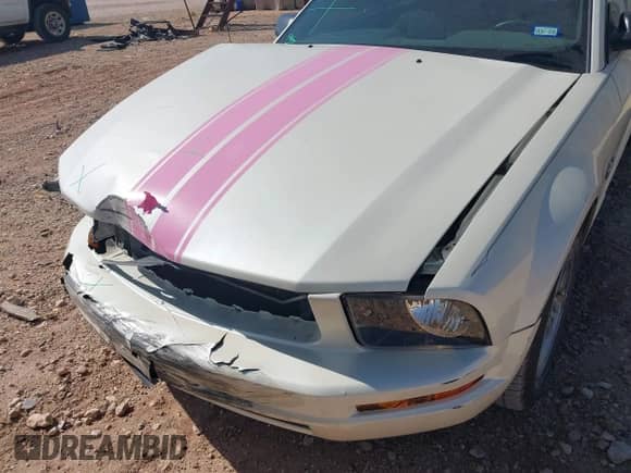 2009 Ford Mustang z VIN 1ZVHT84N195100247, wystawiony jako IAAI lot #43341093 z przebiegiem 94 326 mil mil oraz . Historia ofert i sprzedaży dostępna na DreamBid. Obrazek 19.