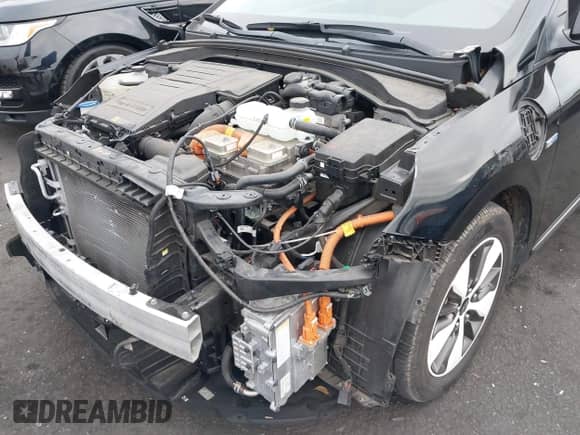 2019 Hyundai Ioniq с VIN KMHC65LD3KU122950, выставлен на аукционе IAAI как лот 42745030 с пробегом 73 133 миль миль и . История ставок и продаж доступна на DreamBid. Изображение 18.