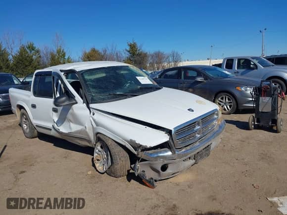 2004 Dodge Dakota SLT with VIN 1D7HL48K14S524636, listed as a IAAI auction lot 41389726 with 161,176 mi miles and . Bid and sale history available at DreamBid. Image 6.