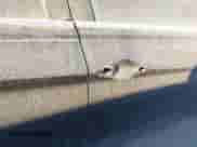 2013 Hyundai Sonata GLS z VIN 5NPEB4AC5DH681524, wystawiony jako IAAI lot #43471314 z przebiegiem 93 396 mil mil oraz . Historia ofert i sprzedaży dostępna na DreamBid. Obrazek 18.