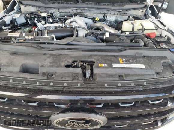 2023 Ford F-250 XL with VIN 1FT8W2BT5PEE04803, listed as a Copart auction lot 85335595 with Not provided miles and Non repairable. Bid and sale history available at DreamBid. Image 11.