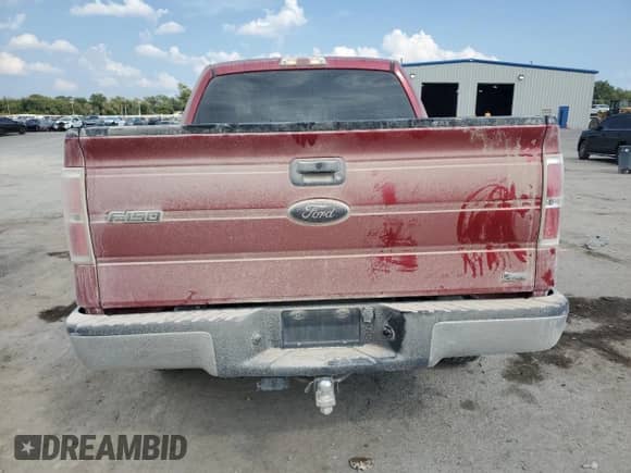 2010 Ford F-150 XL with VIN 1FTFW1CV4AFD66158, listed as a Copart auction lot 80960765 with 125,660 mi miles and Salvage title. Bid and sale history available at DreamBid. Image 6.