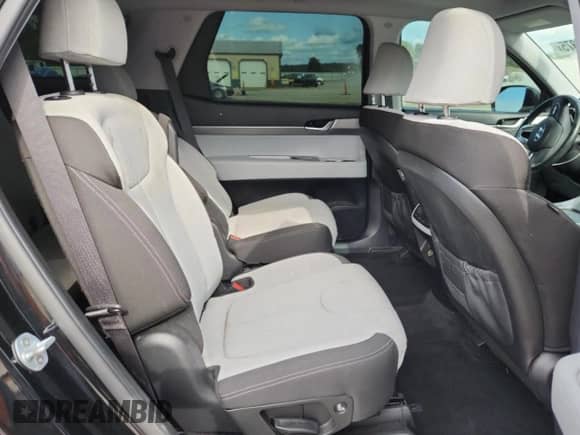2020 Hyundai Palisade SEL с VIN KM8R2DHEXLU088248, выставлен на аукционе Copart как лот 69655375 с пробегом 78 686 миль миль и Списание • Salvage title. История ставок и продаж доступна на DreamBid. Изображение 11.