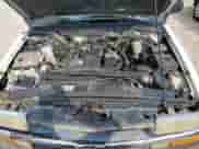 2000 Chevrolet S-10 LS z VIN 1GCCS1942Y8117773, wystawiony jako Copart lot #67828283 z przebiegiem 282 106 mil mil oraz Szkoda całkowita • Salvage title. Historia ofert i sprzedaży dostępna na DreamBid. Obrazek 11.