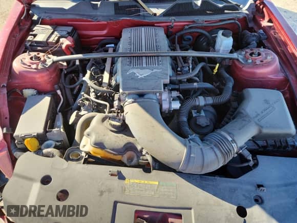 2010 Ford Mustang GT with VIN 1ZVBP8CH2A5104429, listed as a Copart auction lot 90648825 with 46,864 mi miles and Clean title. Bid and sale history available at DreamBid. Image 11.