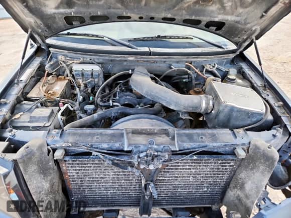 2006 Ford F-150 XLT with VIN 1FTPW14506FA34213, listed as a Copart auction lot 81521045 with 375,203 mi miles and Salvage title. Bid and sale history available at DreamBid. Image 11.