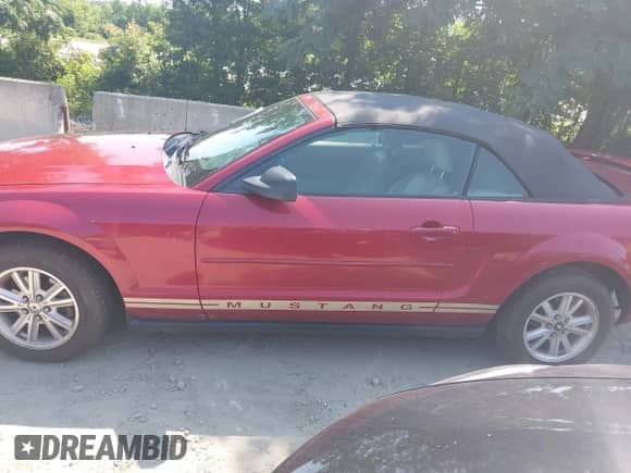 2006 Ford Mustang Standard с VIN 1ZVFT84N865222011, выставлен на аукционе IAAI как лот 42523400 с пробегом 234 756 миль миль и . История ставок и продаж доступна на DreamBid. Изображение 14.