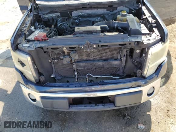 2014 Ford F-150 XLT with VIN 1FTFW1CF4EFC63353, listed as a Copart auction lot 87444485 with 162,191 mi miles and Salvage title. Bid and sale history available at DreamBid. Image 11.