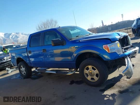2010 Ford F-150 XL with VIN 1FTEW1E87AFB51697, listed as a IAAI auction lot 41454088 with 171,787 mi miles and . Bid and sale history available at DreamBid. Image 13.