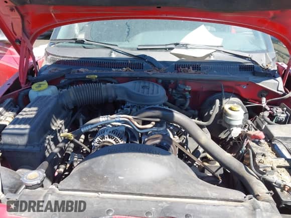 1999 Dodge Dakota SLT with VIN 1B7GG22XXXS318531, listed as a IAAI auction lot 42864607 with 161,280 mi miles and . Bid and sale history available at DreamBid. Image 10.